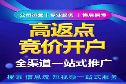 百度SEO推广公司案例分享：行业佼佼者经验